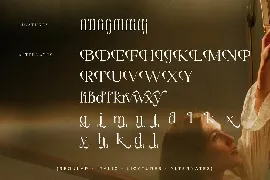 Bayoreh New Modern Serif Font