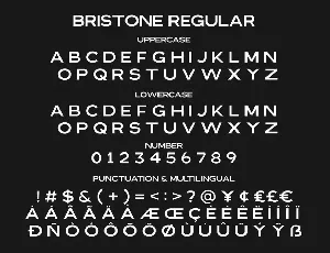 Bristone - Expanded Sans Family font