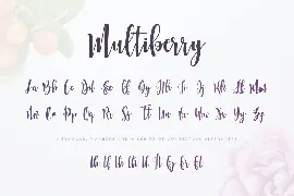 Multiberry - Script Font