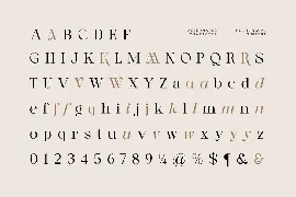 Modern Font - Daily Wiogea