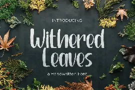 Withered leaves - Handwritten Font