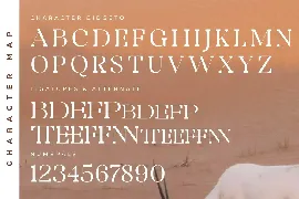 Bidgeto A New Display Serif Font