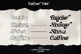 Calfine - A Modern Serif font