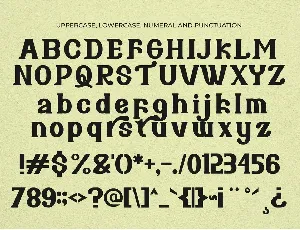 Bareno Modern Retro Serif Font