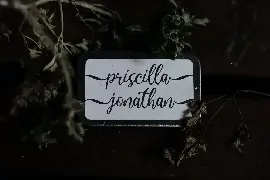 Virgiluna - Modern Calligraphy Font