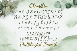 Virgiluna - Modern Calligraphy Font