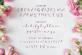 Saturated - Beautiful Script font