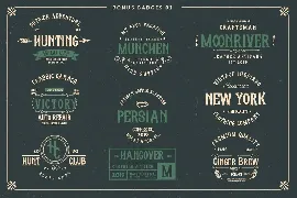 Whisholder Vintage Advertisement Font