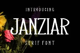 Janziar Font