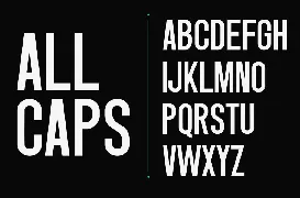 Singo | Sans Display Font