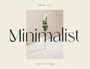 Ginger - Modern Stylish Font