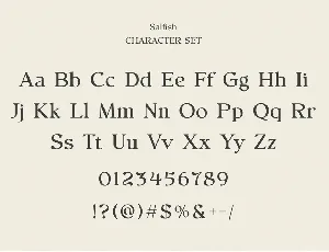 Salfish - Nostalgic Serif Font