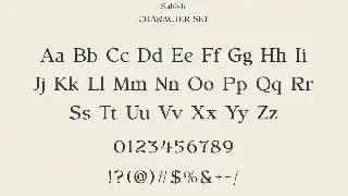 Salfish - Nostalgic Serif Font