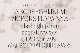 Chelvin Elegant Serif font