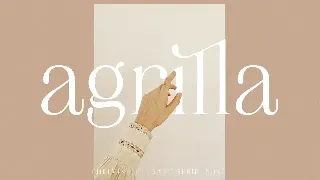 Chelvin Elegant Serif font