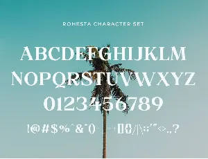 Rohesta - Nostalgic Serif Font