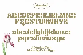 Klemer Display font