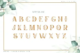 Satine-Floral Display Font