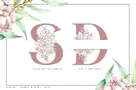 Satine-Floral Display Font