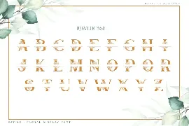 Satine-Floral Display Font