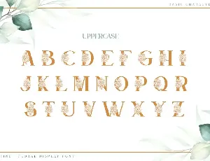 Satine-Floral Display Font