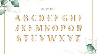 Satine-Floral Display Font