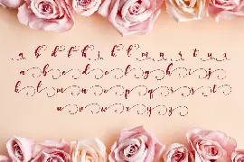 Monieta - Adorable Script font