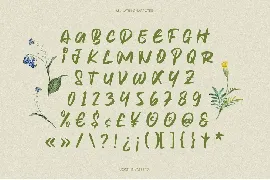 Klorofeel - Elegant Font