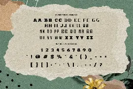 Crafter Pieces - Multy Style Font