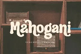 Regina - Modern Vintage Font