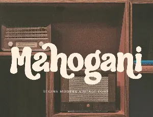 Regina - Modern Vintage Font