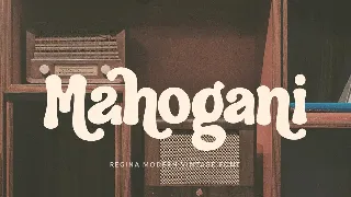 Regina - Modern Vintage Font