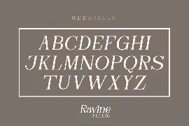 RAVINE ITALIC - Modern Serif font