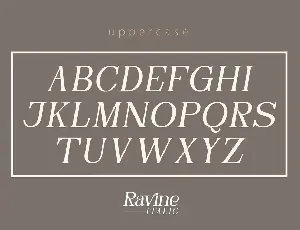 RAVINE ITALIC - Modern Serif font