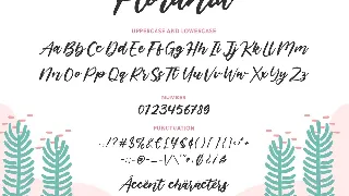 Florania Script Font