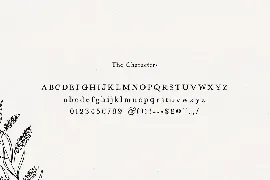 Alchemist Serif Font