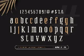 Elamon - Serif Condensed Displat Font