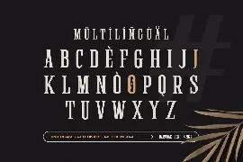 Elamon - Serif Condensed Displat Font