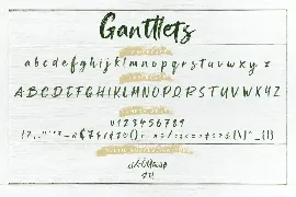 Ganttlets Brush Business Font