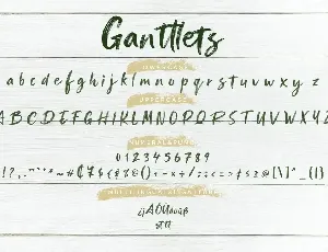 Ganttlets Brush Business Font