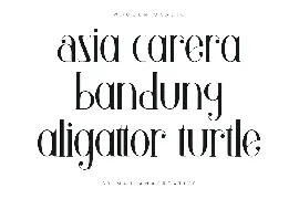 Wooden Okadio Serif Decorative Font