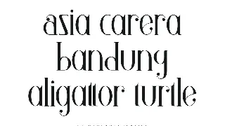 Wooden Okadio Serif Decorative Font