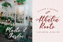 Angelina Rahmy - Modern Script Font