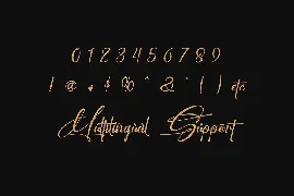 Perfect Signature font