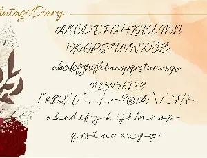 Vintage Diary Script font