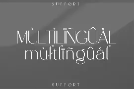 Modern Unique Serif Font