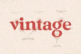 Vintage - Retro Serif Font