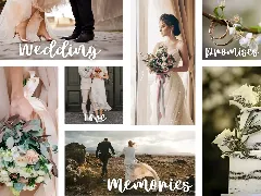 Beautiful Bride Modern Calligraphy Font