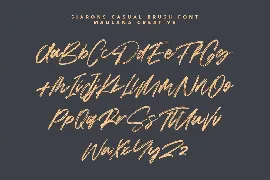 Siarons Casual Brush Font