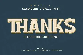 Amuttix - Serif Display Font